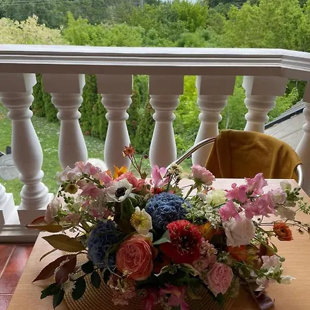 Szilvia Haz Balatonakarattya